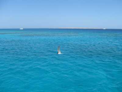 Sejour Mer Rouge Hurghada Gallerie